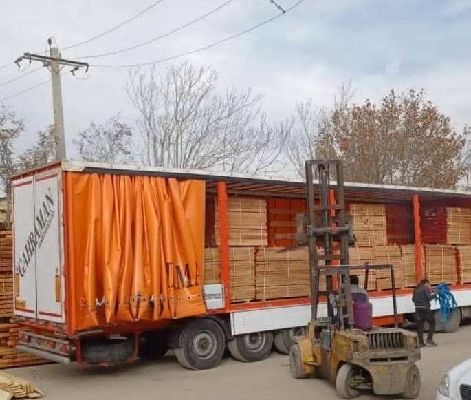واردات و پخش چوب راش و توسکا بازرگانی ترموپال در چهاردانگه تهران