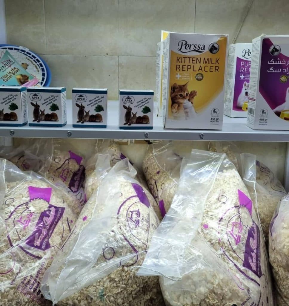 مربی آموزش سگ میلاد حبیبی در کرج