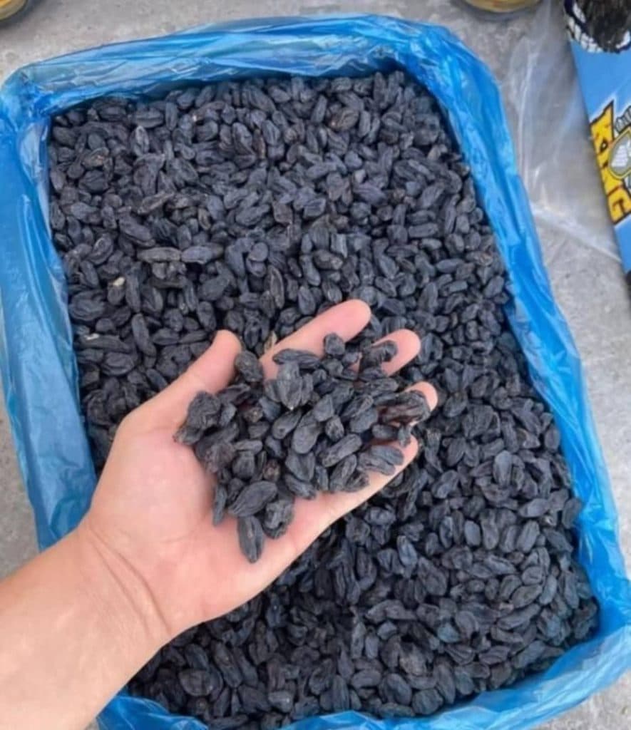 پخش خشکبار حشمتی در شهرکرد