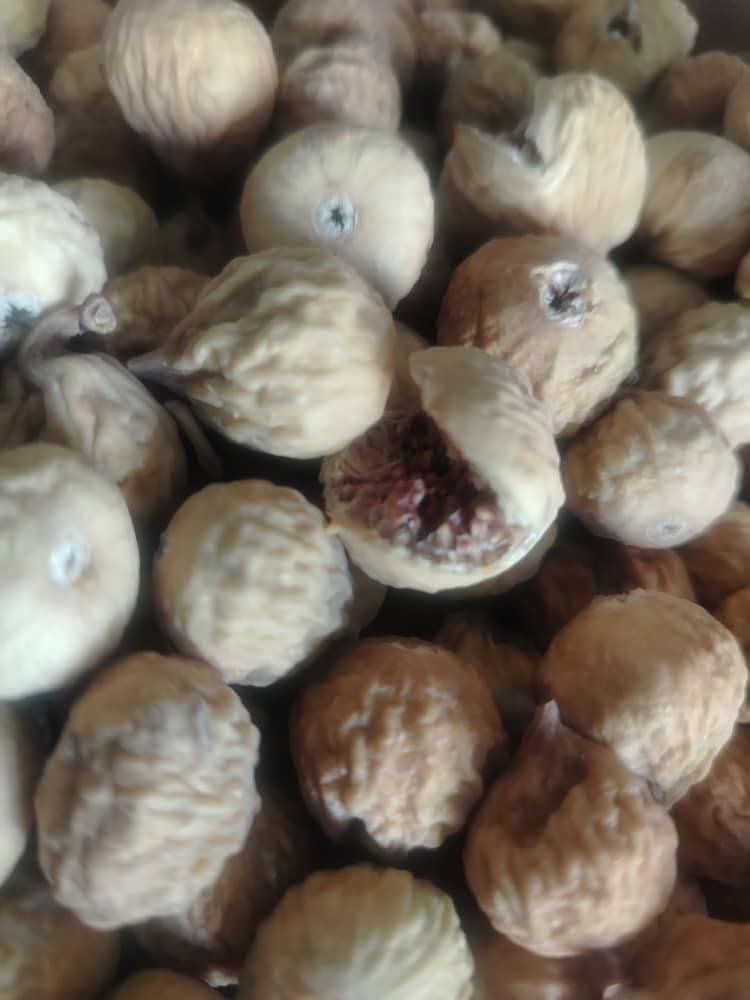 پخش خشکبار حشمتی در شهرکرد