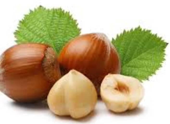 خرید و فروش فندق ممتاز باقی زاده در رودسر