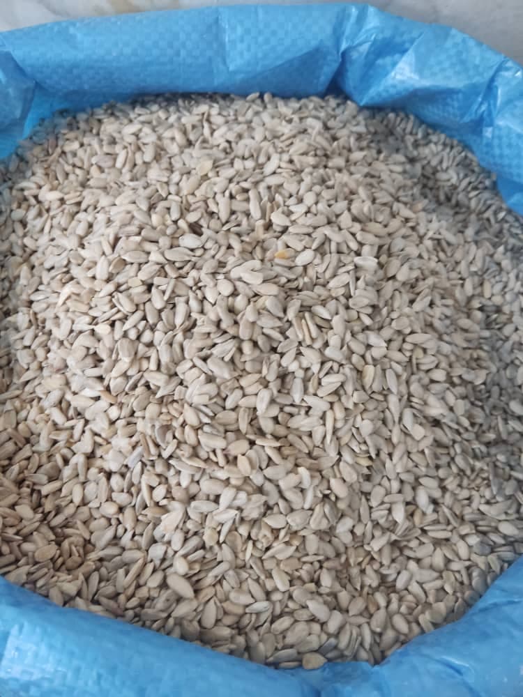 پخش و فروش عمده بادام زمینی و کنجد و مغزیجات پیکانی در تهران