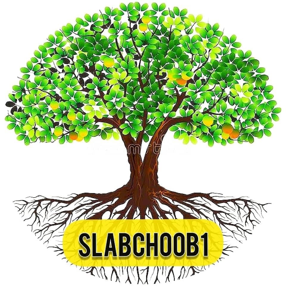 فروش چوب و ظروف چوبی گالری اسلب چوب در کاشان