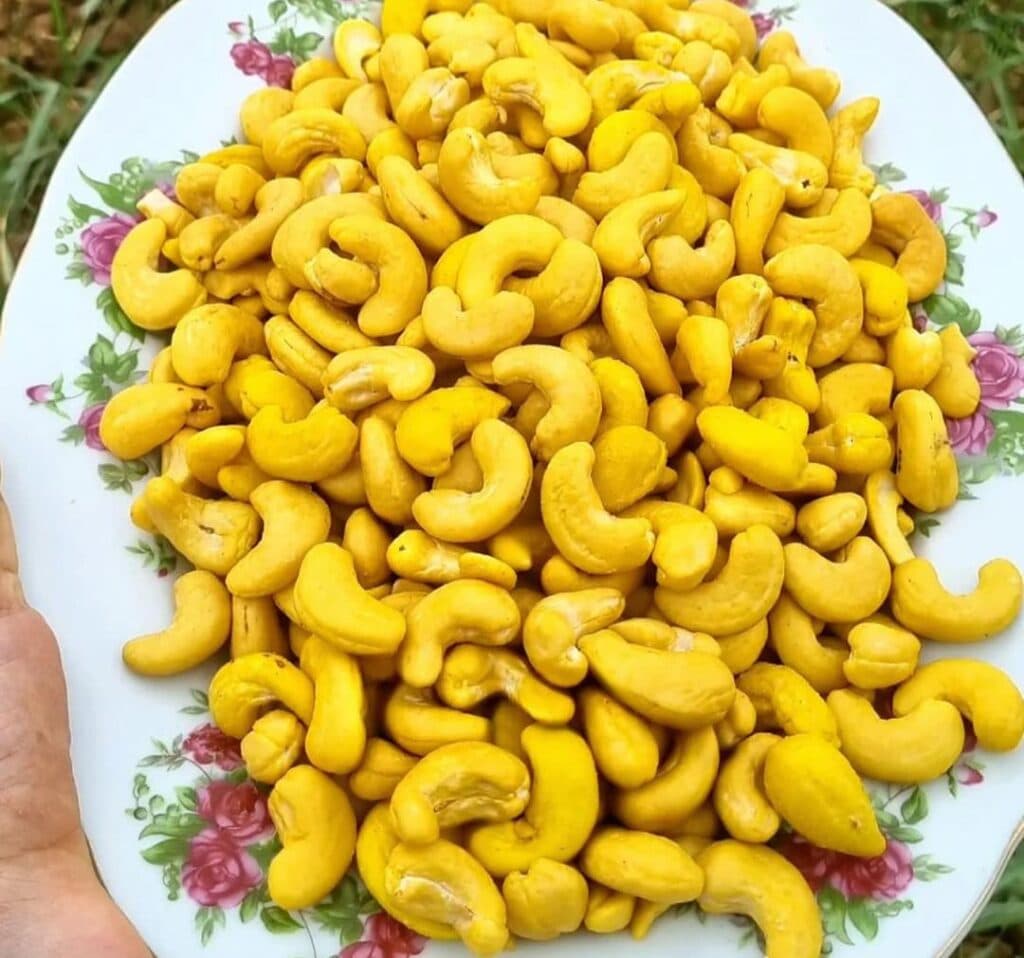 فروشگاه آجیل و خشکبار نمونه موسوی در شیراز