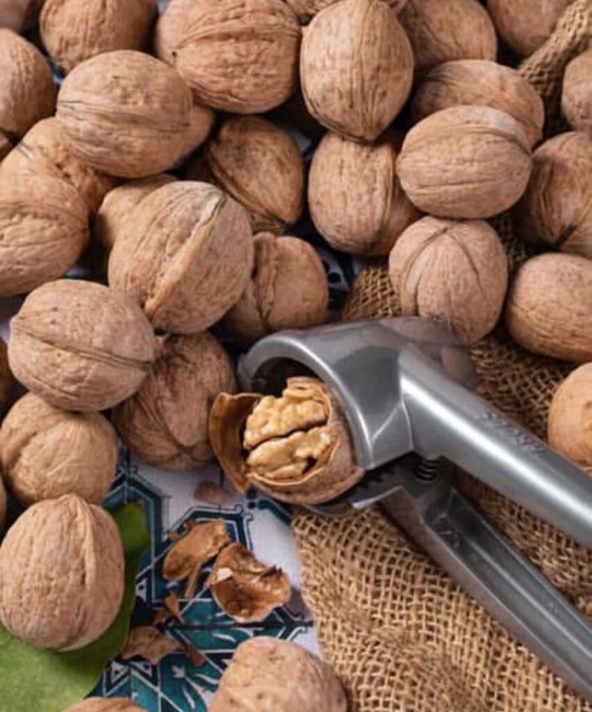 فروشگاه آجیل و خشکبار نمونه موسوی در شیراز