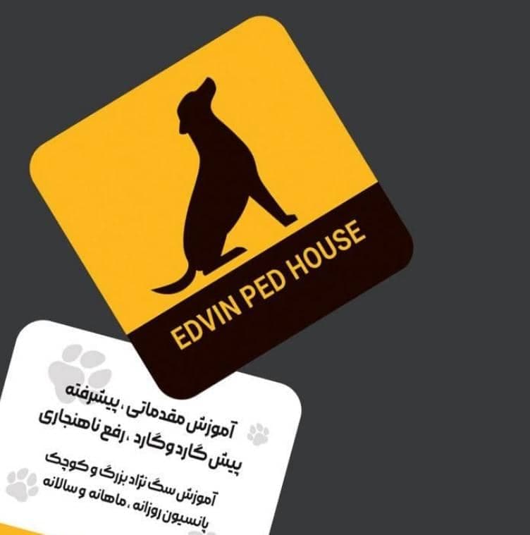 مرکز تخصصی و پانسیون نگهداری و آموزش سگ خانگی ادوین در بندرعباس