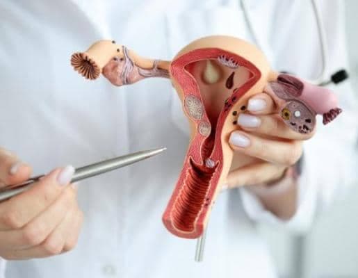 مطب متخصص مامایی دکتر پریوش احمدپور در تبریز