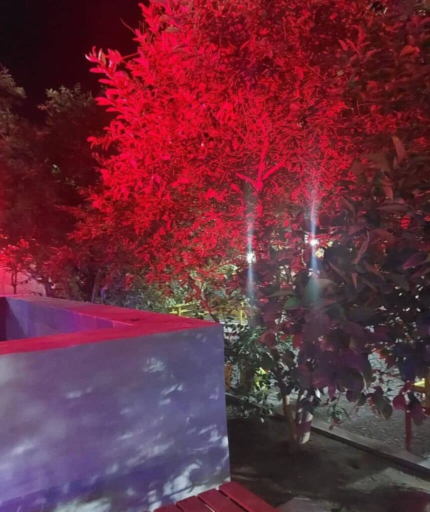 کافه رستوران خانواده در ایرانشهر