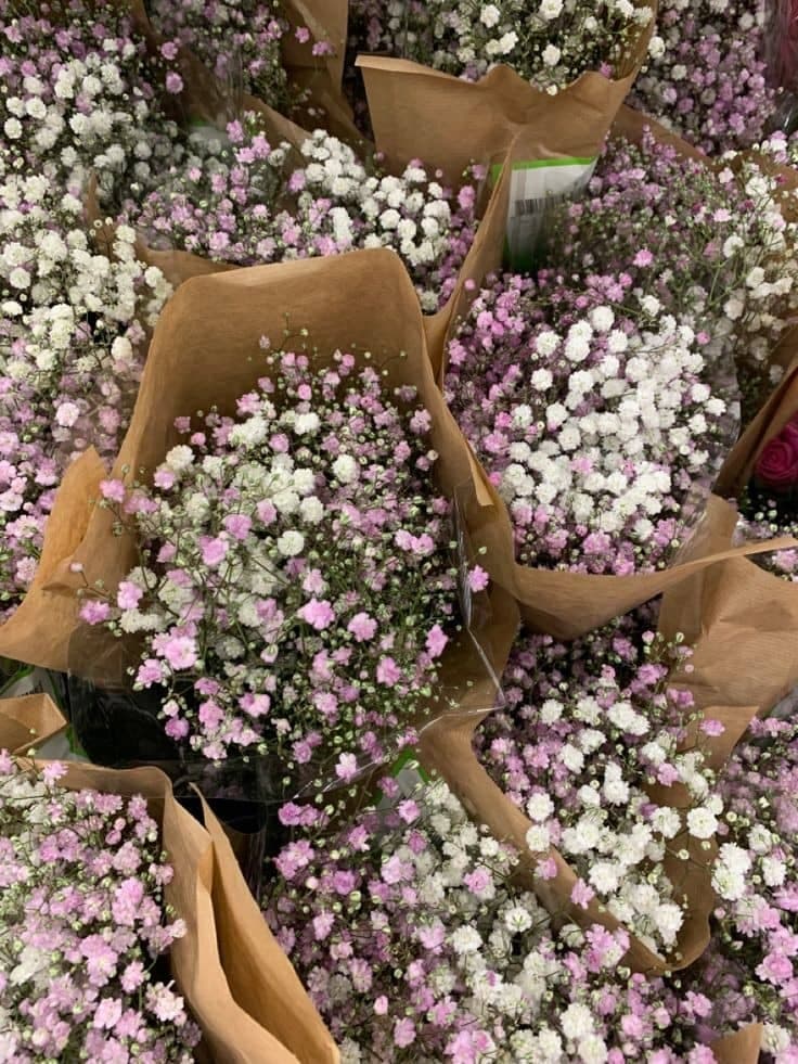 گل فروشی میخک طلایی در یزد
