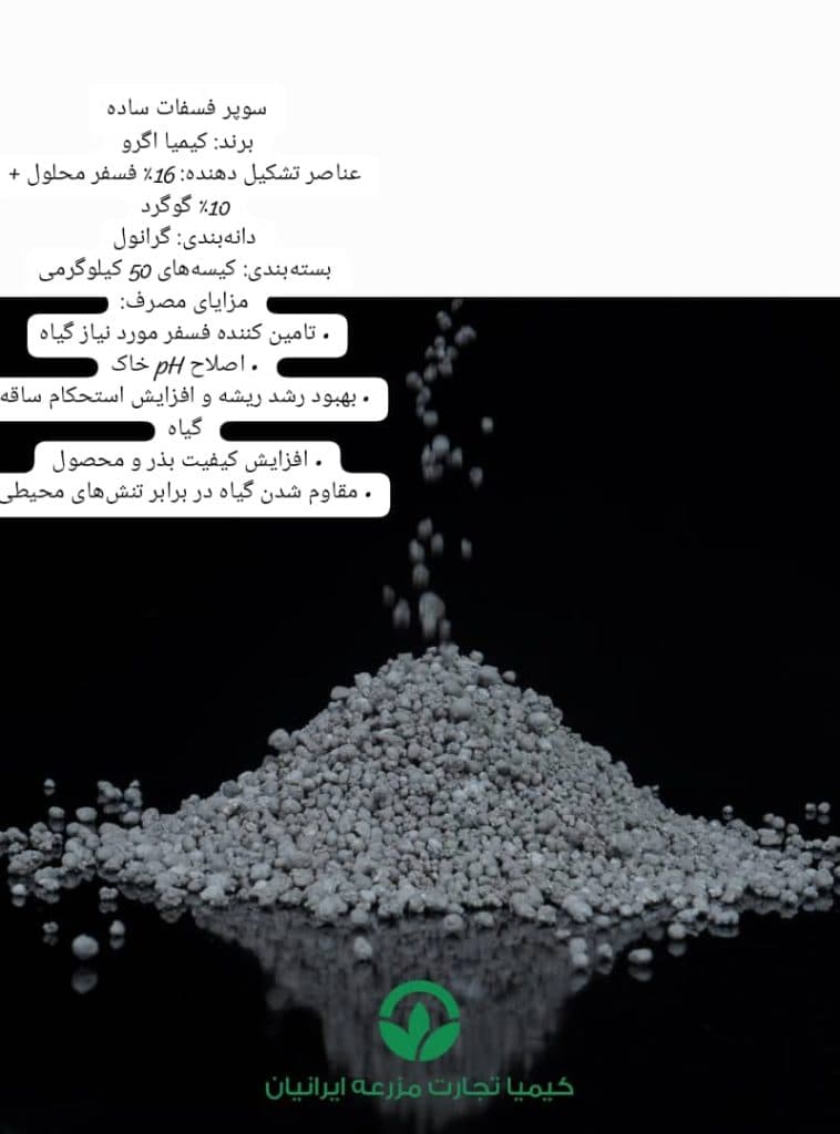 تولید گوگرد بنتونیت دار و میکرونیزه کیمیا تجارت مزرعه ایرانیان در مشهد