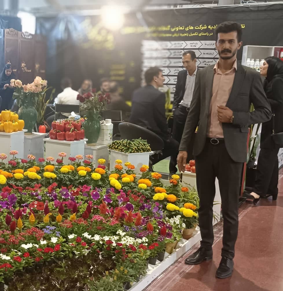 گلخانه محصولات ارگانیک جودکی در ازنا