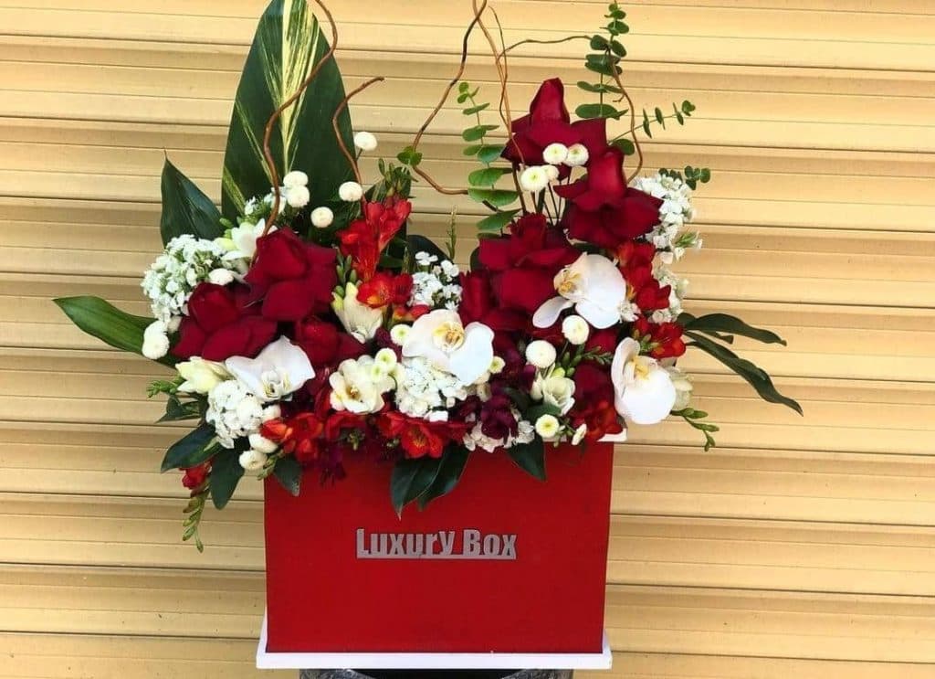 گل فروشی گل یخ در ساری