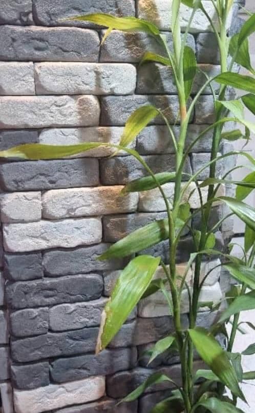 تولید و فروش سنگ مصنوعی شاین استون در رشت