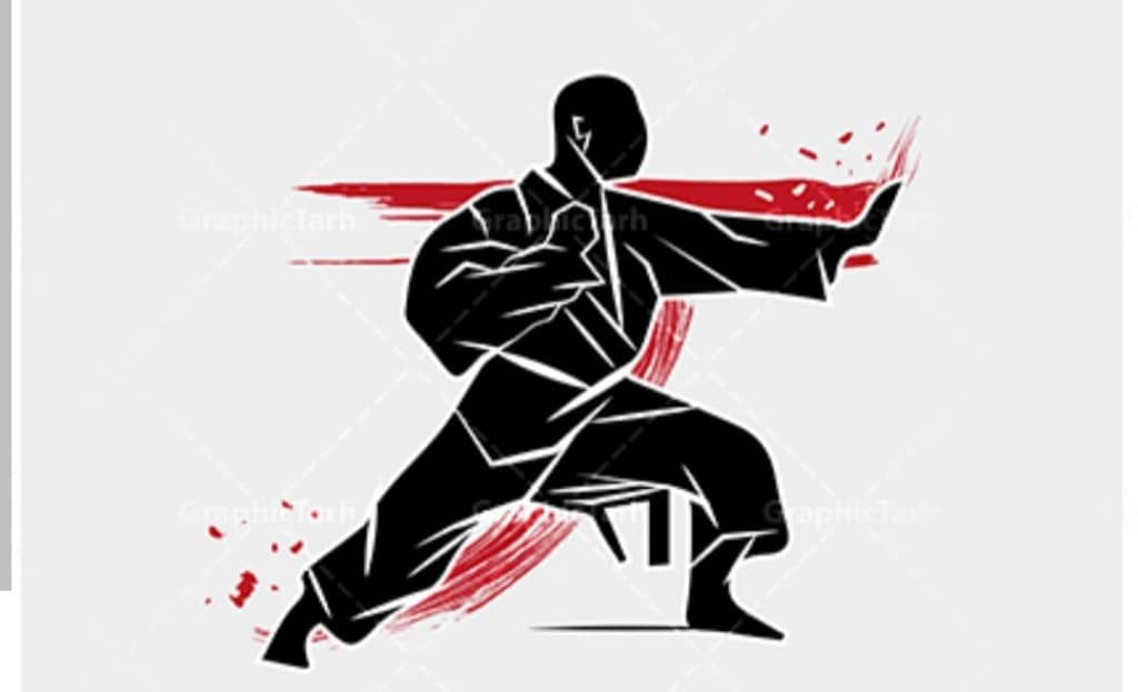 آموزش دفاع شخصی و هاپکیدو استاد رضا حسین پور در تبریز