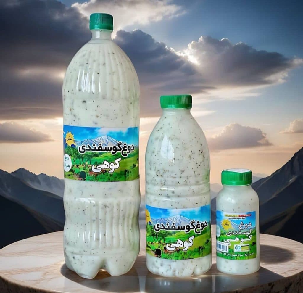 شرکت دوغ آوران گوسفندی کوهی در شیراز