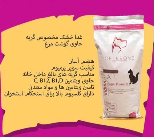  پت شاپ لاوینا در اسکندری شمالی تهران