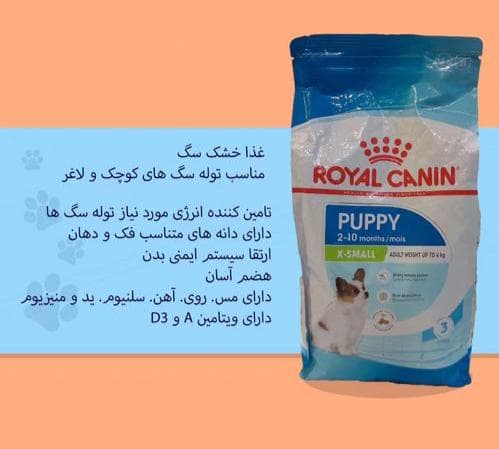  پت شاپ لاوینا در اسکندری شمالی تهران