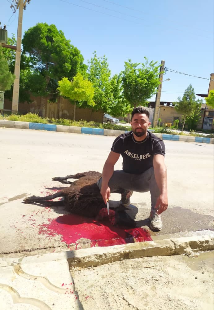 سوپر گوشت مجیدی در همدان