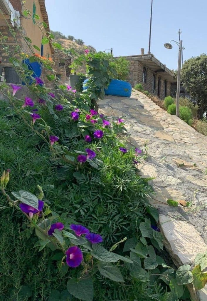 مجموعه گردشگری شانشین در مریوان