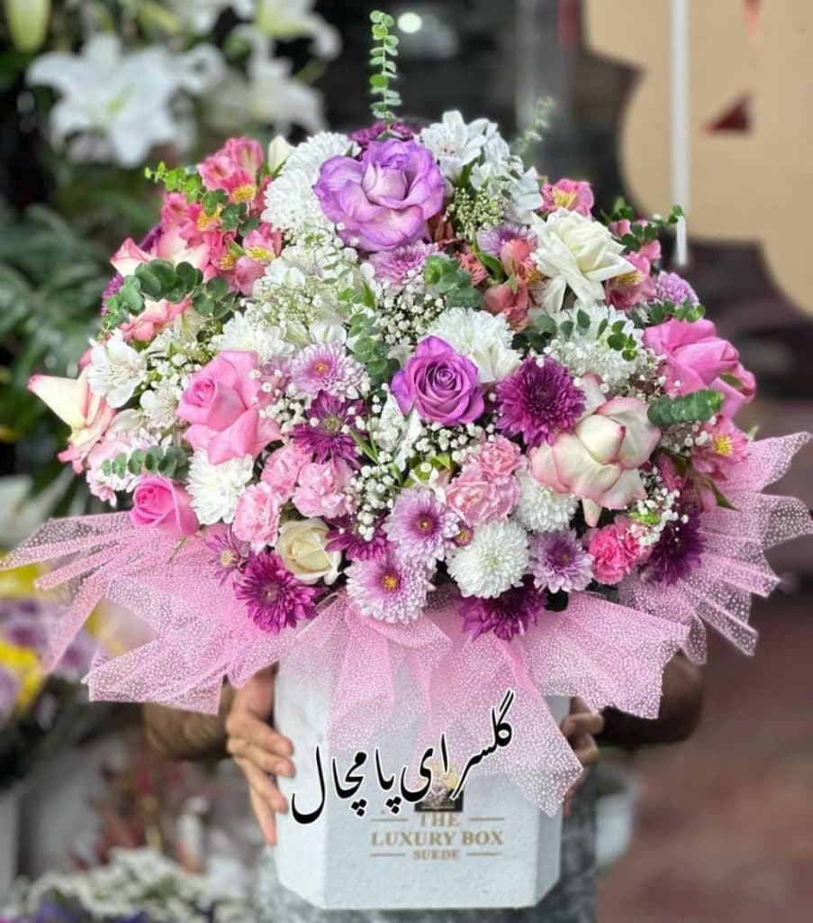 گل فروشی پامچال در گچساران