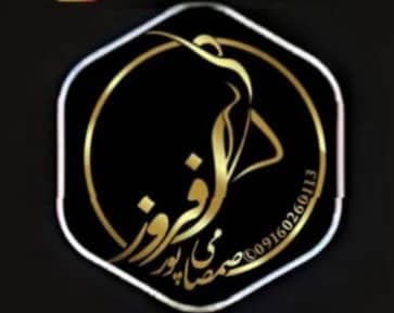 کلینیک لاغری دکتر افروز صمصامی پور در زرگری شیراز