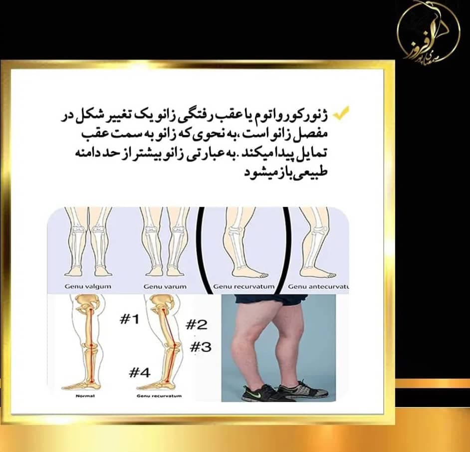 کلینیک لاغری دکتر افروز صمصامی پور در زرگری شیراز