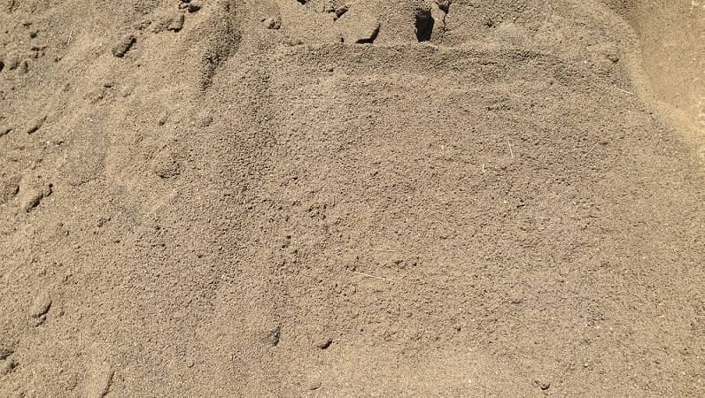 پخش ماسه بادی نوری‌ زاده در پیشوا