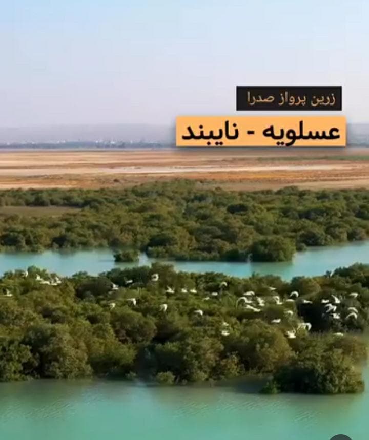 شرکت هواپیمایی زرین پرواز صدرا در همدان