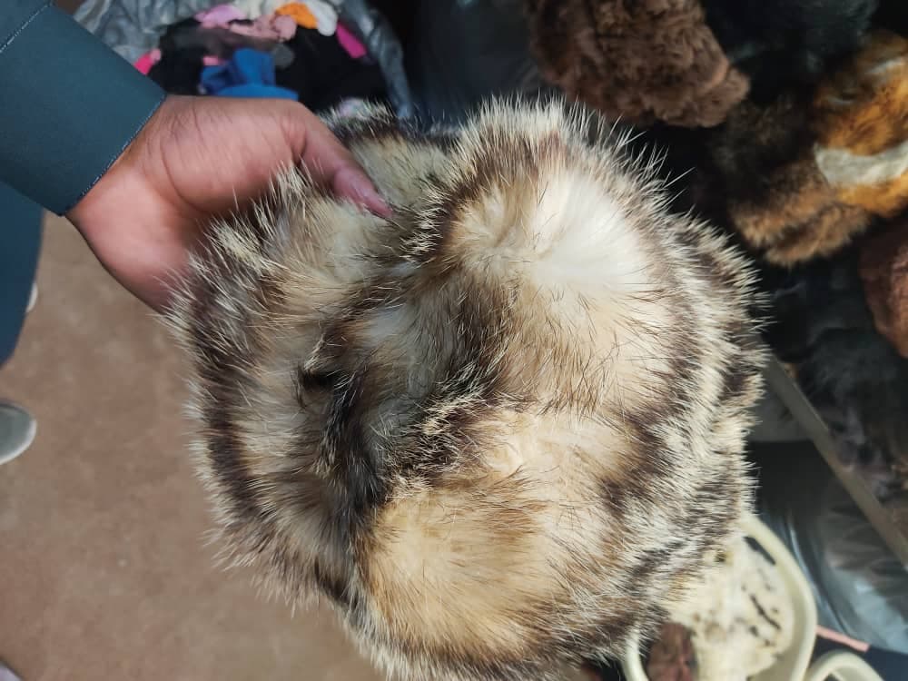واردات پوشاک خارجی صادق کردی در زاهدان