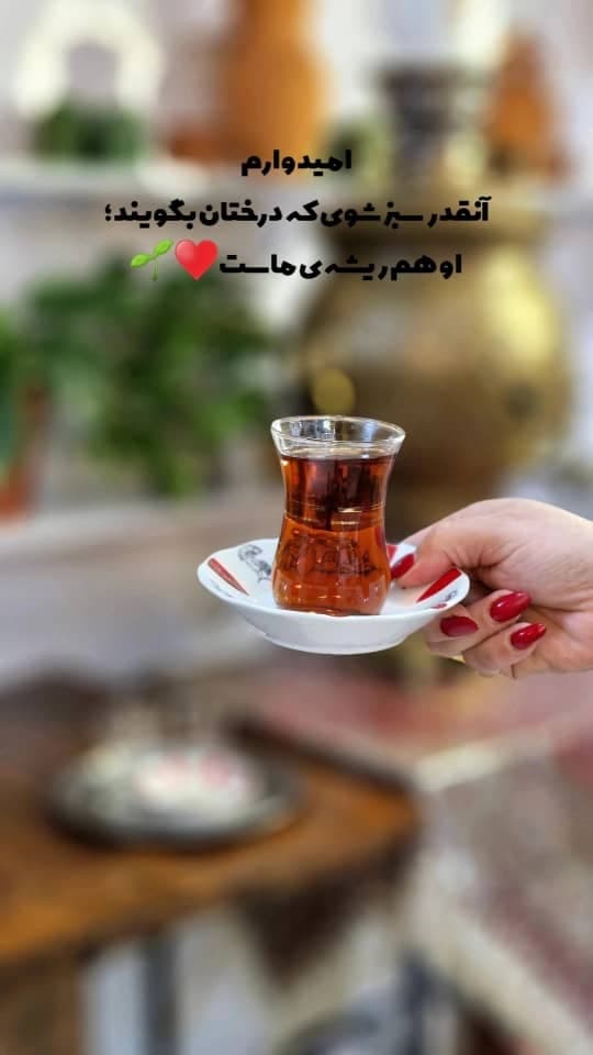 دیزی سرا و غذای محلی ارجمند بانو در لاهیجان