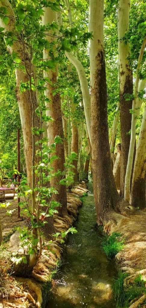 خرید و فروش املاک مسکونی و تجاری گشول ممزایی در اصفهان