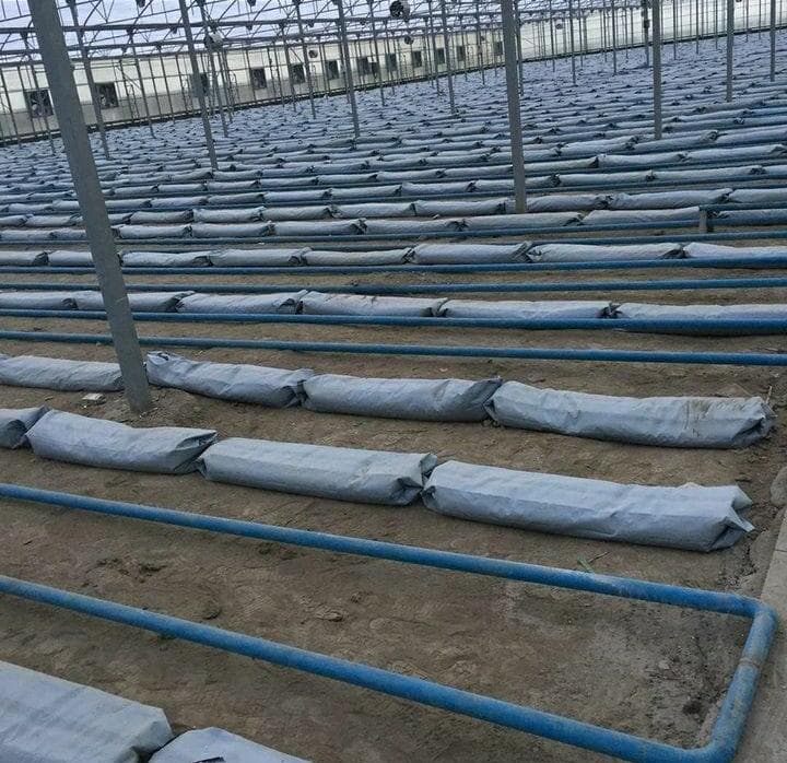 تولید و پخش مستقیم پرلیت هوری پور در گرگان