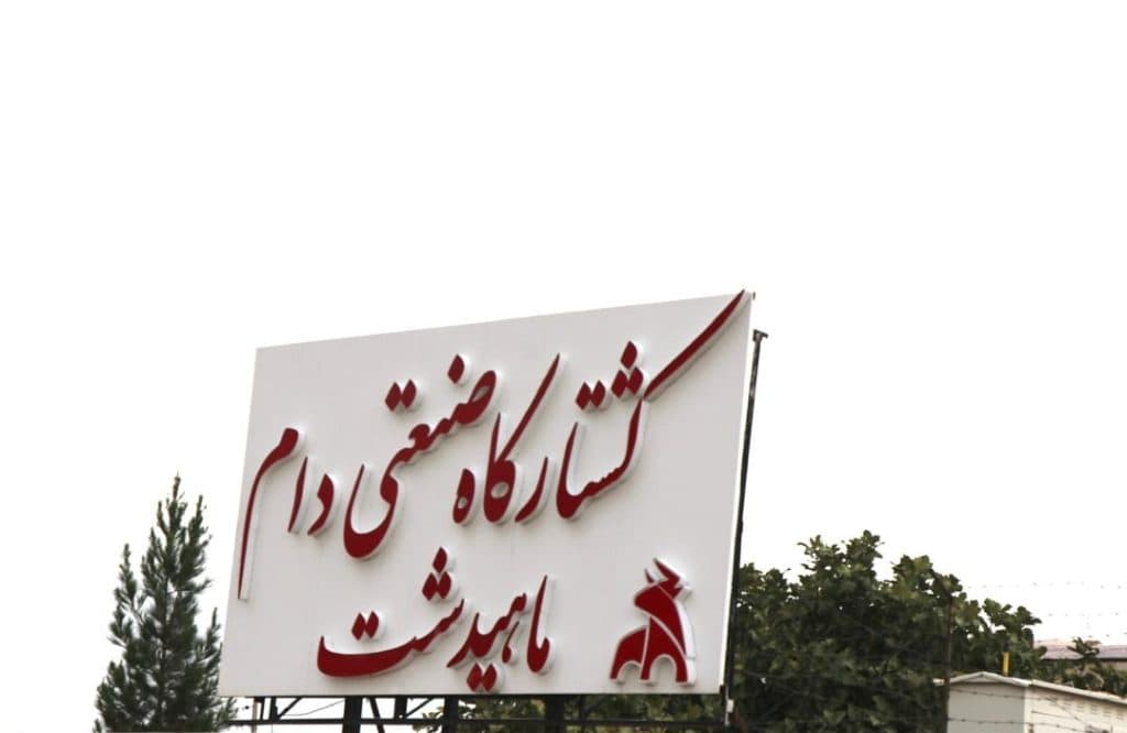 کشتارگاه صنعتی دام ماهیدشت کرمانشاه