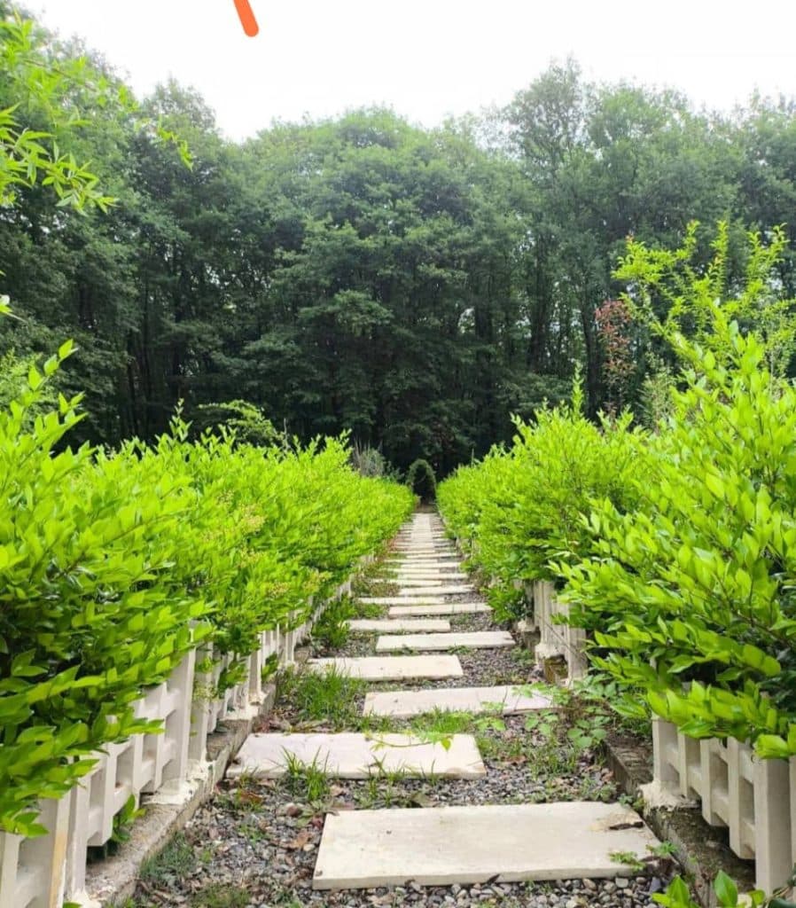 کلبه ی جنگلی امیری لاهیجان