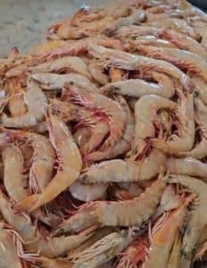 فروش آنلاین ماهی و میگوی تازه جنوب ماهی مارکت رویال در بوشهر