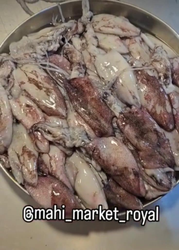 فروش عمده و خرده آبزیان دریایی جنوب ماهی مارکت رویال در بوشهر