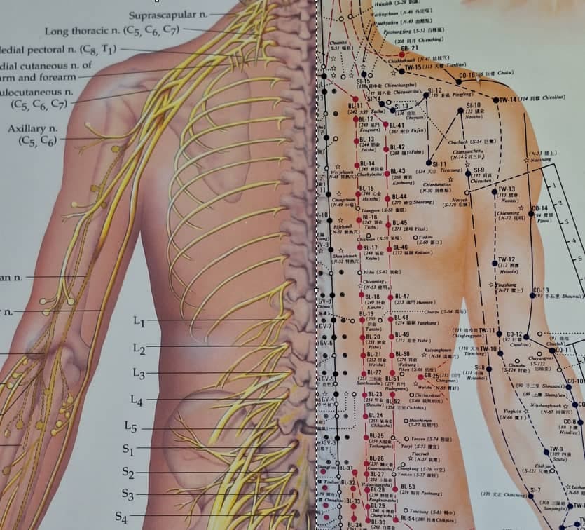 خدمات تخصصی درمانی طب سوزنی در منزل مهدی شمس در کرج