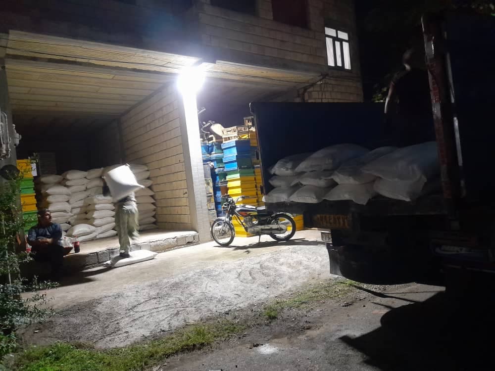 فروش عمده شکر جنگانی در تالش
