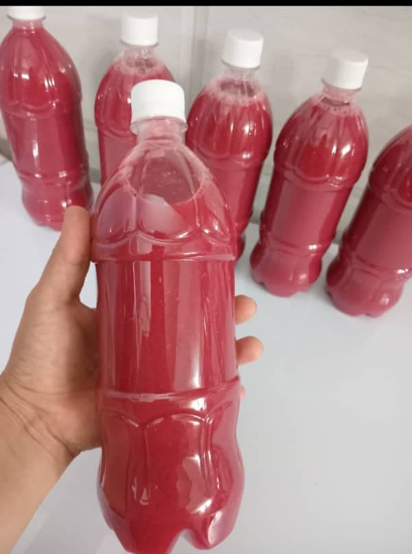 پخش غذای خانگی شاهکار در رودسر