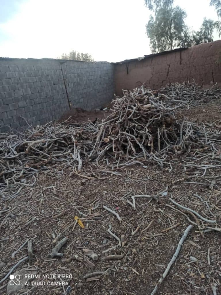 پخش و فروش عمده زغال پسته رفسنجان دهقان در رفسنجان