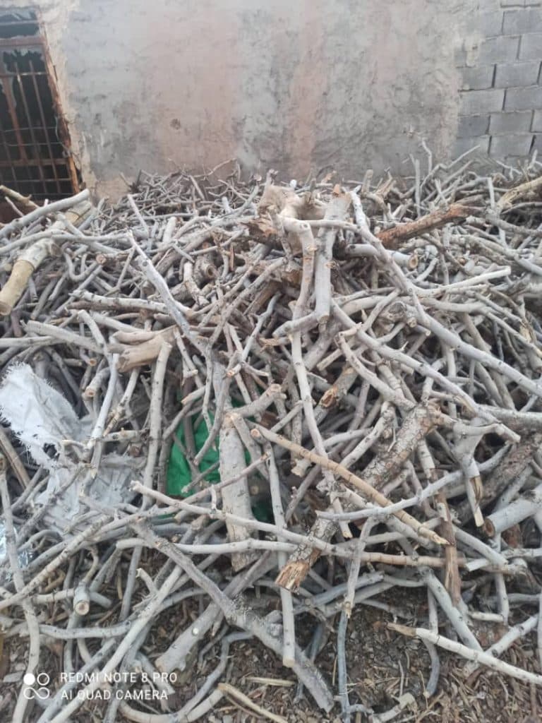 پخش و فروش عمده زغال پسته رفسنجان دهقان در رفسنجان