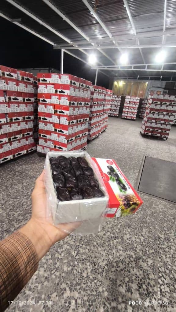 پخش و صادرات خرما شرکت مشکات در بم