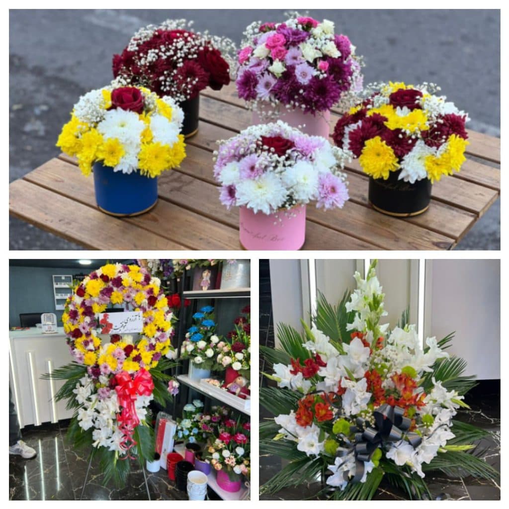 گلکده تمیزکار شعبه دو در رشت