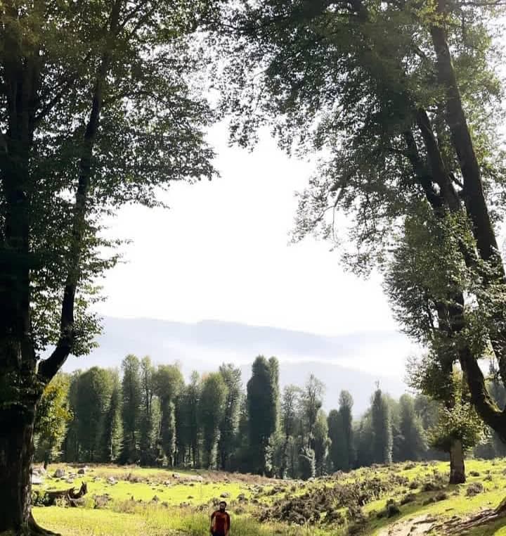 تور کوهنوردی و گردشگری ماسو در رشت