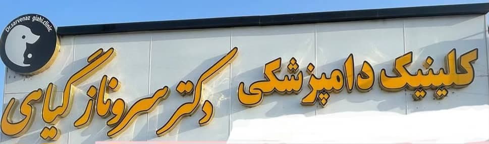 کلینیک دامپزشکی دکتر سروناز گیاهی در گلسار رشت