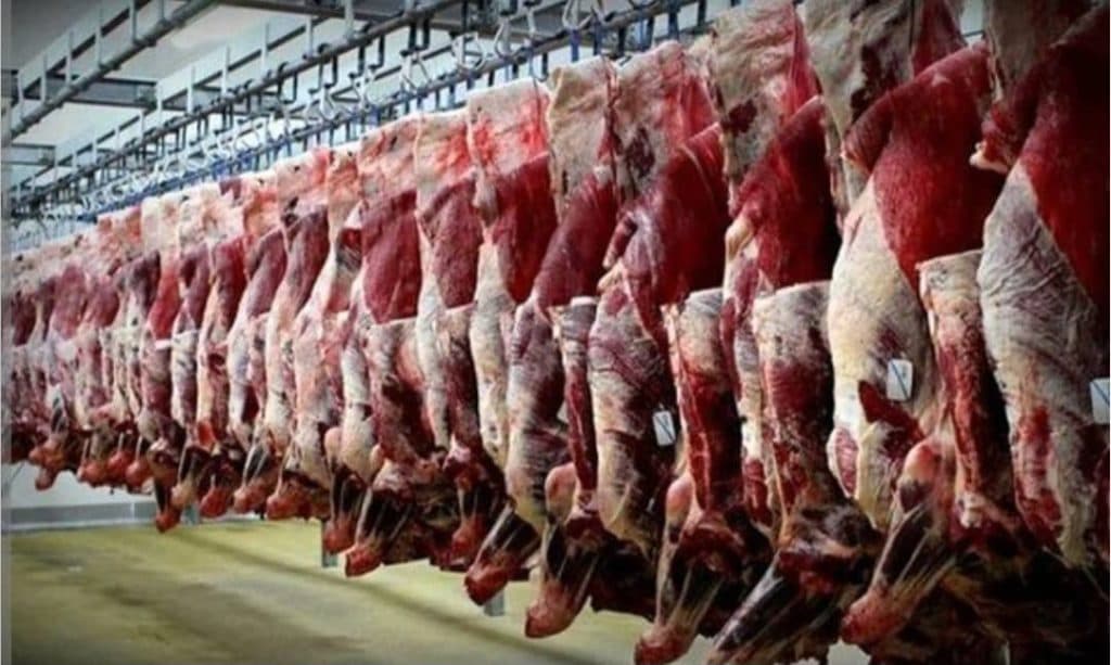 سوپر پروتئینی گوشت و مرغ ساتور طلایی در رشت