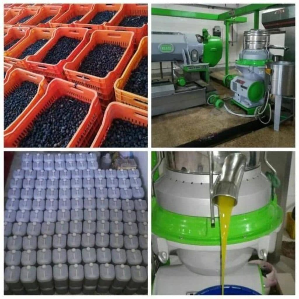 فروش زیتون و روغن زیتون عزیزی طارم