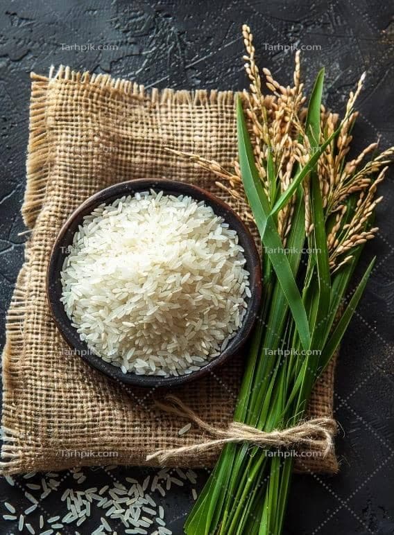 تولید و پخش عمده چای و نبات جام در تهران