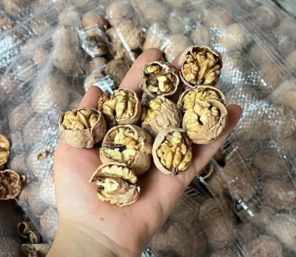 فروش مغز گردو و بادام گردو کده تویسرکان