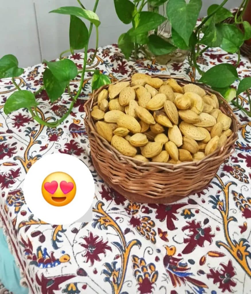 فروش مغز گردو و بادام گردو کده تویسرکان